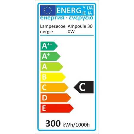 Lot de 10 ampoules halogènes 300W - Éclairez votre vie avec une lumière chaude 2800K gradable R7s!