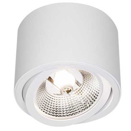 Découvrez le Luminaire AR111 GU10 Orientable - Halogène/LED Monté en Surface